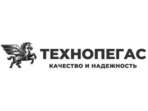 Запуск сайта компании ООО "Технопегас"